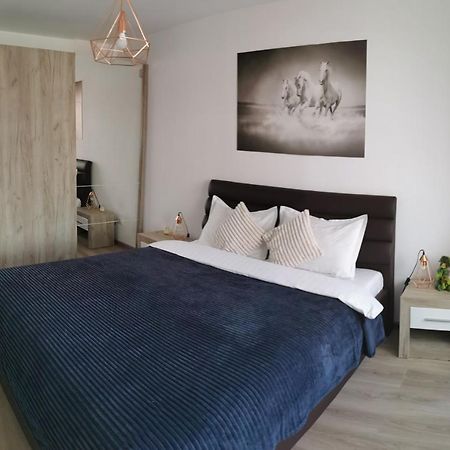 Marimonti Apartment براشوف المظهر الخارجي الصورة