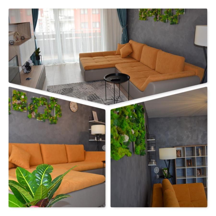 Marimonti Apartment براشوف المظهر الخارجي الصورة